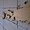 JP wooden relief