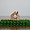INSENCE HOUSE SET
