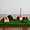 INSENCE HOUSE SET