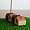 INSENCE HOUSE SET
