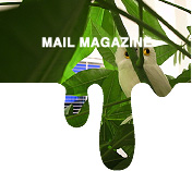mail magazine